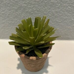 Green Faux Succulent